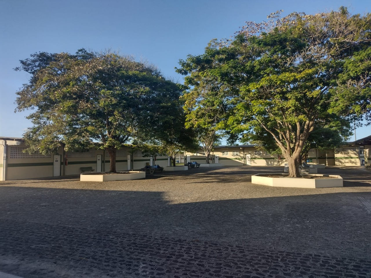 WhatsApp Image 2022-11-29 at 13.29.55.jpeg